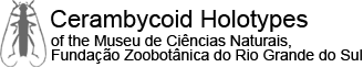 Cerambycidae Holotypes of the Museu de Ci�ncias Naturais, Funda��o Zoobot�nica do Rio Grande do Sul